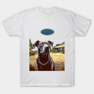 UFOs 2: My Dog Thinks UFOs Are Real on a light (Knocked out) background T-Shirt